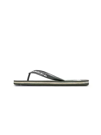QUIKSILVER | Tongues pour homme Molokai Core |